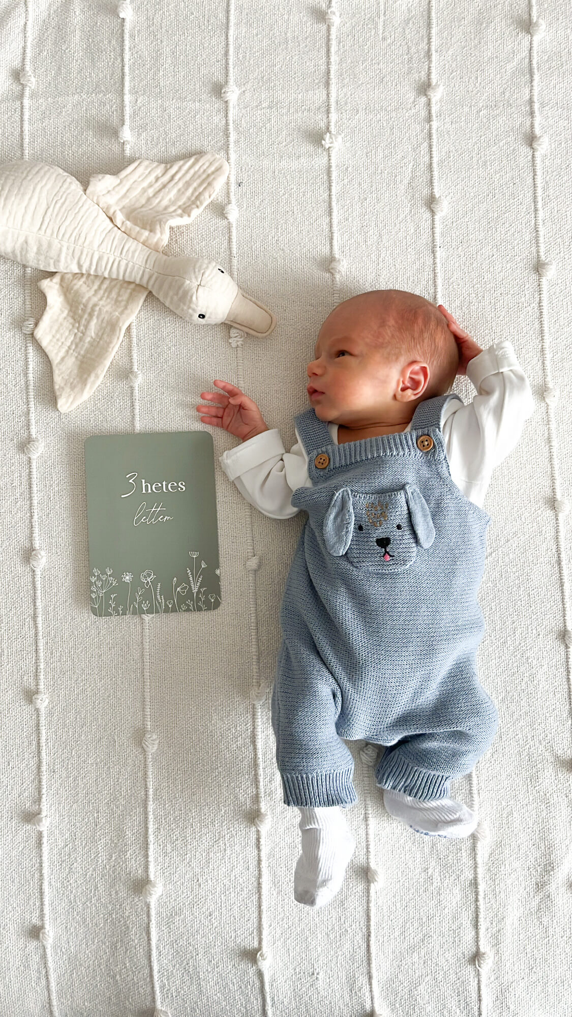 3 hetes kisbaba mellette niMin tavaszi szél zsálya mérföldkőkártya