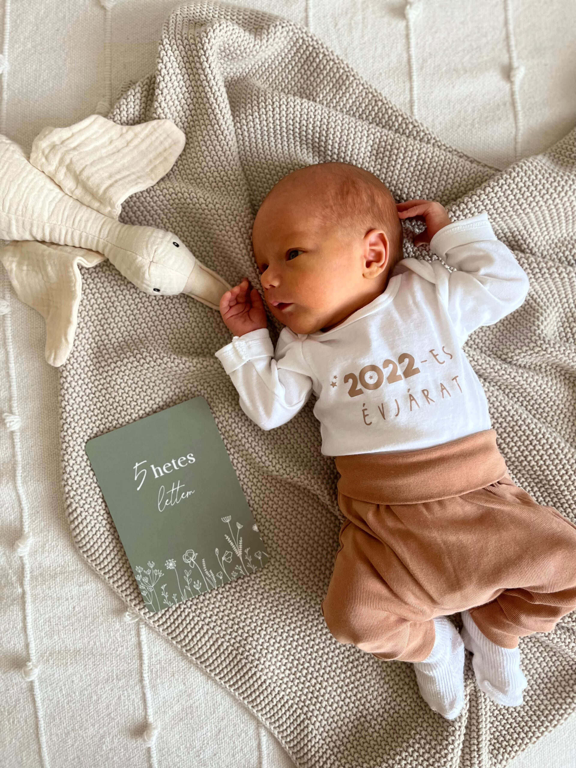 kisbaba mérföldkőkártyával fotózva, neutrális baba játékokkal, születési évszámos bitpamut újszülött baba ruhában