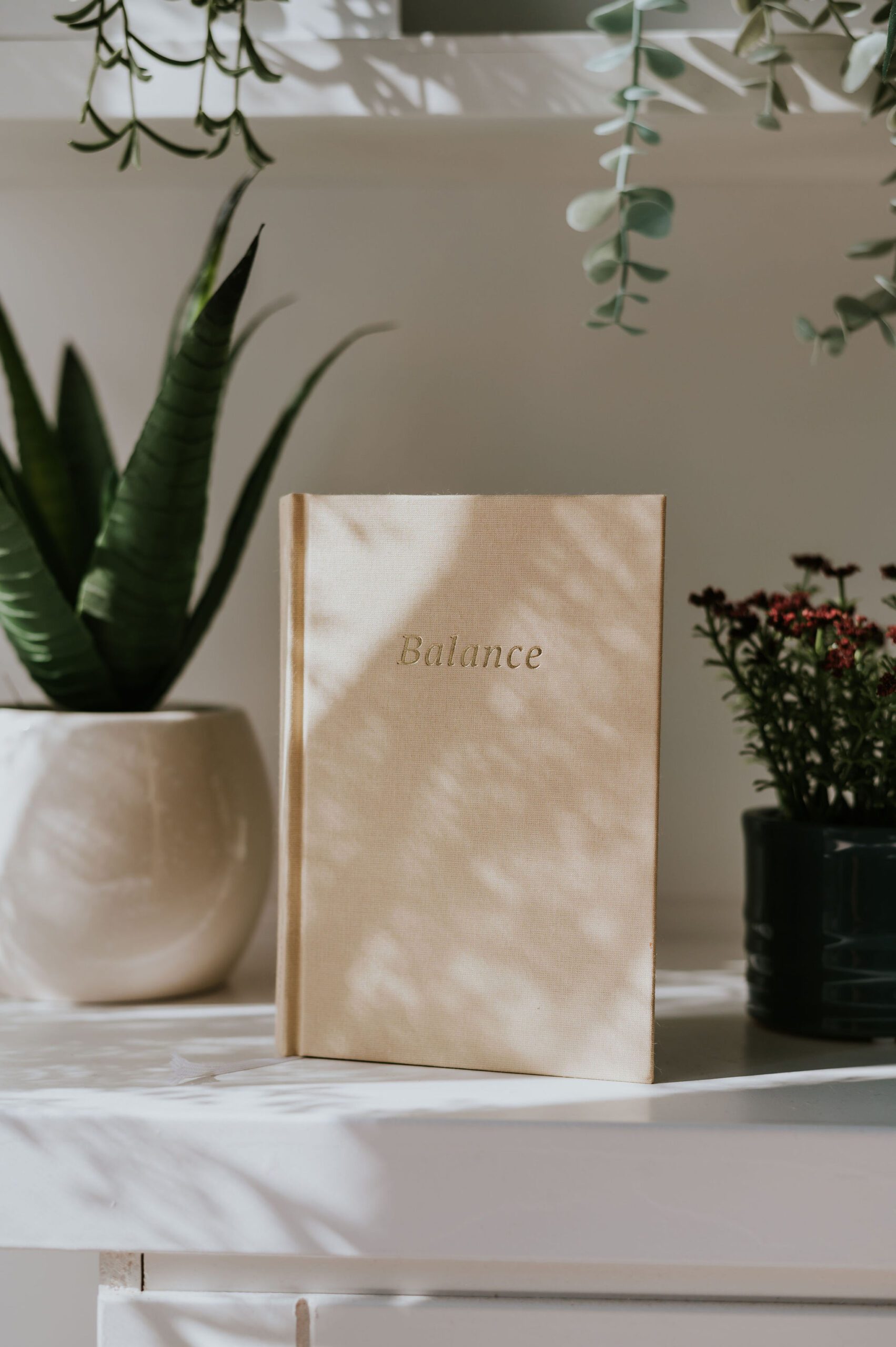 Balance hálanapló, öngondoskodási napló kézben fogva